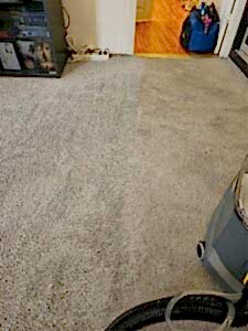 Химчистка ковролина с высоким ворсом