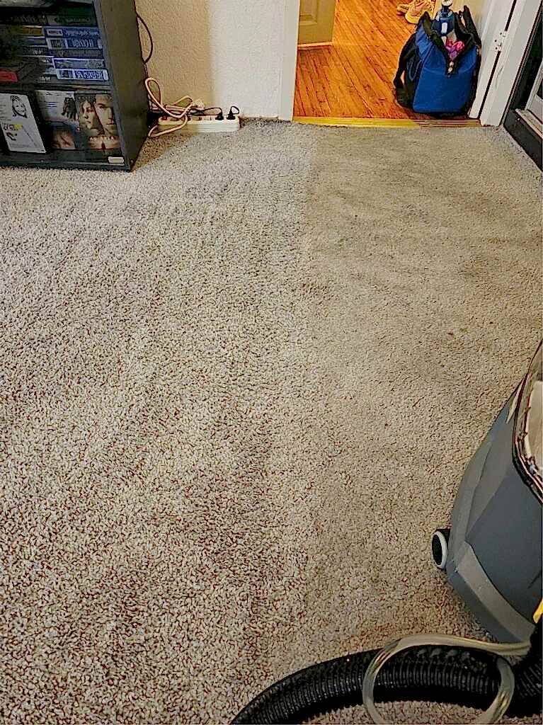 Химчистка ковролина с высоким ворсом