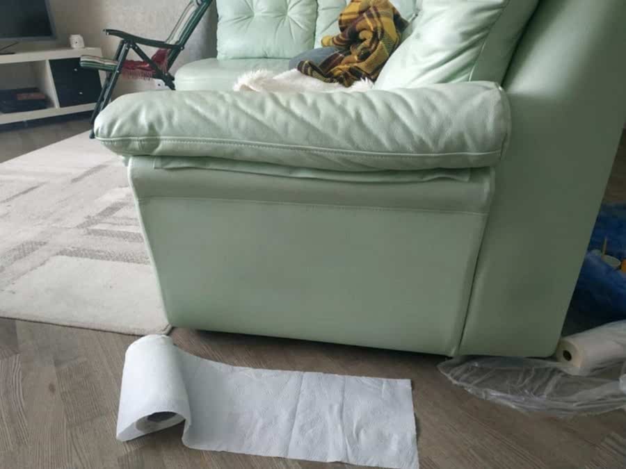 Химчистка кожаного дивана в Петергофе