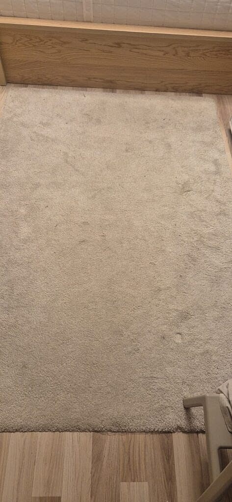 Химчистка ковра с плохим запахом на дому